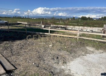 lotto c t (3).JPG - Terreno edificabile Via Toffanelle Nuove, Zevio - foto 1