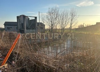 IMG_3310.JPG - Terreno edificabile Via Toffanelle Nuove, Zevio - foto 7