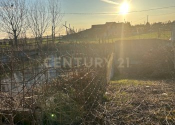 IMG_3311.JPG - Terreno edificabile Via Toffanelle Nuove, Zevio - foto 8