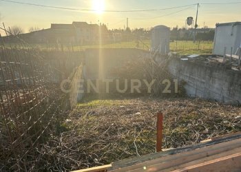 IMG_3312.JPG - Terreno edificabile Via Toffanelle Nuove, Zevio - foto 9