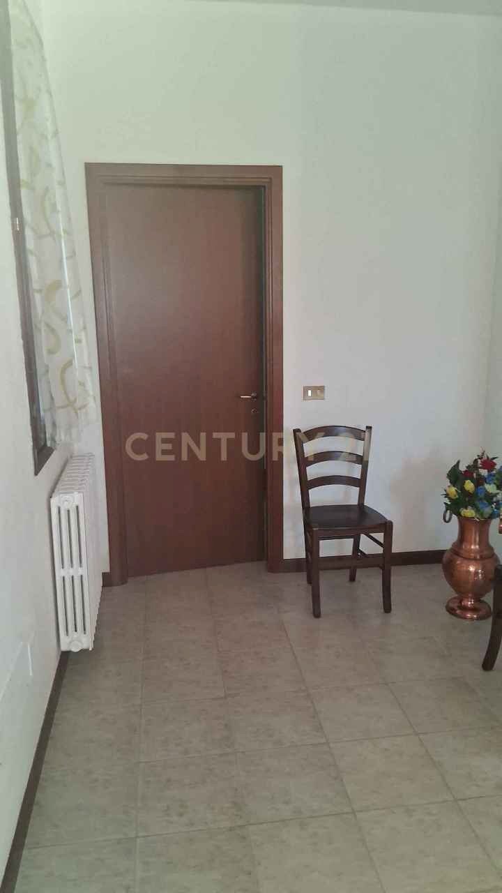 20250903_173448.jpg - Appartamento Via Chioggiano 47, Cologna Veneta - foto 2