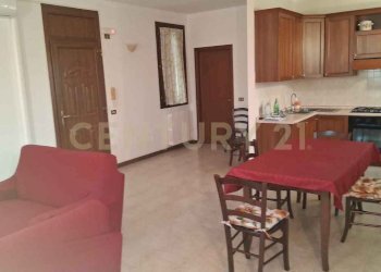 20250903_173534.jpg - Appartamento Via Chioggiano 47, Cologna Veneta - foto 4