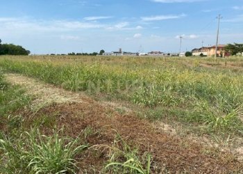 1.jpg - Terreno edificabile Via le Cassere, Oppeano - foto 2