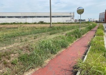 2.jpg - Terreno edificabile Via le Cassere, Oppeano - foto 1