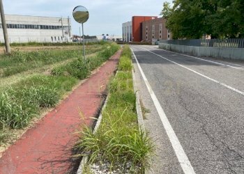 3.jpg - Terreno edificabile Via le Cassere, Oppeano - foto 3