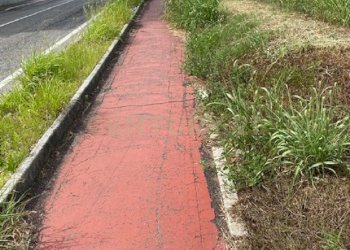 4.jpg - Terreno edificabile Via le Cassere, Oppeano - foto 4