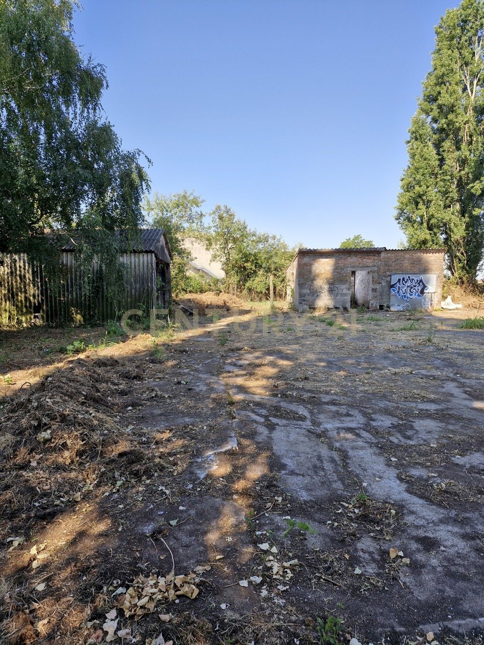 20250630_093635.jpg - Casale Via San Zeno 76/A, Cerea - photo 3