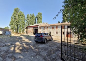 20250630_094225.jpg - Casale Via San Zeno 76/A, Cerea - foto 1