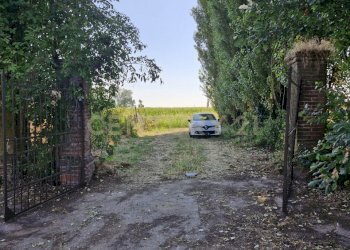 20250630_093651.jpg - Casale Via San Zeno 76/A, Cerea - foto 4