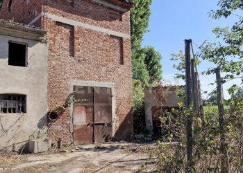 20250630_093705.jpg - Casale Via San Zeno 76/A, Cerea - foto 5