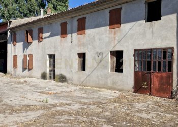 20250630_093719.jpg - Casale Via San Zeno 76/A, Cerea - foto 6