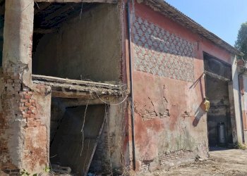 20250630_093920.jpg - Casale Via San Zeno 76/A, Cerea - foto 8