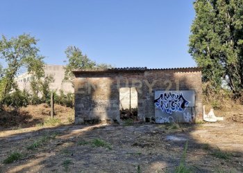 20250630_094014.jpg - Casale Via San Zeno 76/A, Cerea - foto 11