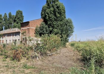 20250630_095139.jpg - Casale Via San Zeno 76/A, Cerea - foto 14