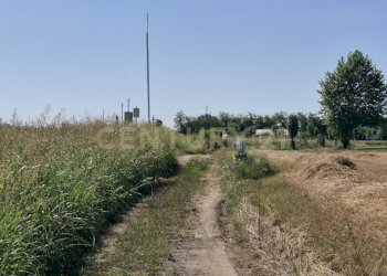 20250630_095159.jpg - Casale Via San Zeno 76/A, Cerea - foto 15