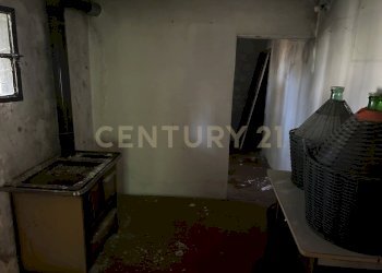 IMG_4294.JPG - Rustico Via Malpasso 10, Bovolone - foto 11