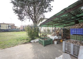 IMG_6073.JPG - Rustico Via Malpasso 10, Bovolone - foto 17