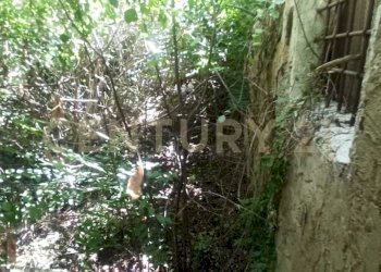 WhatsApp Image 2025-09-19 at 17.50.11.jpeg - Independent house Via Roma 14, Aidone - photo 11