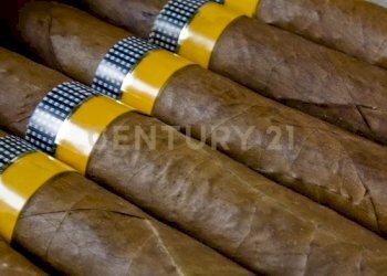 4.png - Tabaccheria Via della Regione Siciliana snc, Gioiosa Marea - foto 4