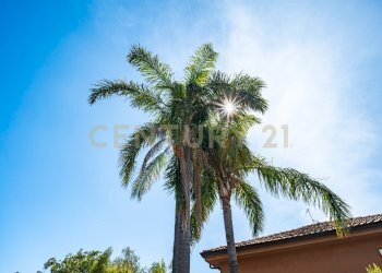 26.jpg - Villa Via Fisichelli, San Giovanni la Punta - photo 26