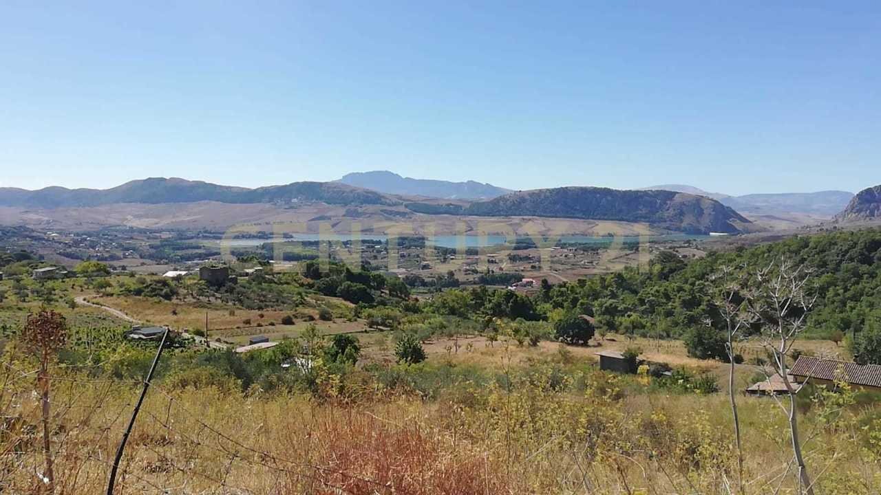 IMG-20250905-WA0002.jpg - Terreno agricolo Contrada Saravulli San Mercurio  snc, Piana degli Albanesi - foto 1