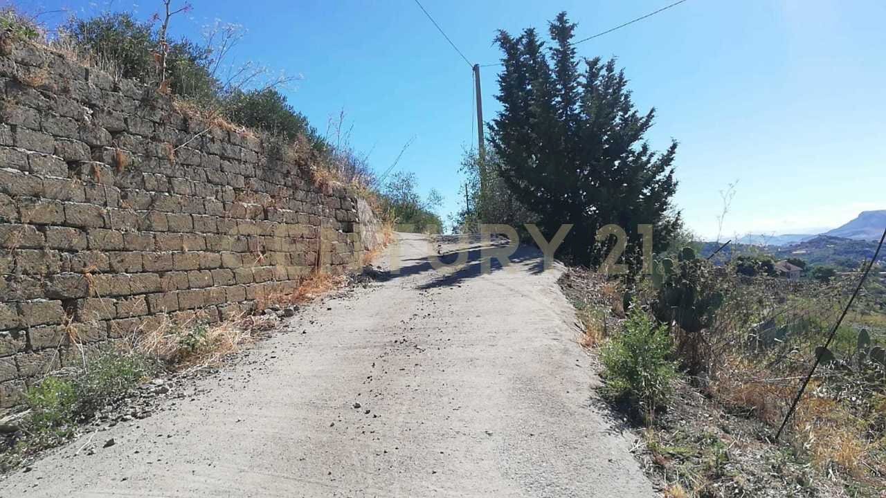 IMG-20250905-WA0003.jpg - Terreno agricolo Contrada Saravulli San Mercurio  snc, Piana degli Albanesi - foto 2