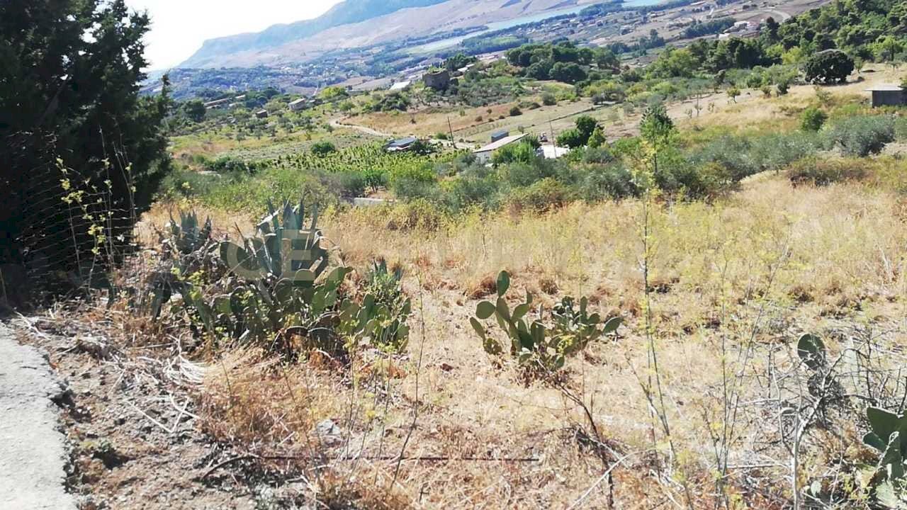 IMG-20250905-WA0004.jpg - Terreno agricolo Contrada Saravulli San Mercurio  snc, Piana degli Albanesi - foto 3