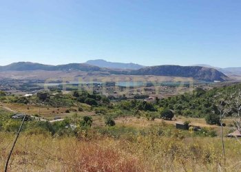 IMG-20250905-WA0002.jpg - Terreno agricolo Contrada Saravulli San Mercurio  snc, Piana degli Albanesi - foto 1