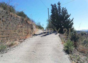 IMG-20250905-WA0003.jpg - Terreno agricolo Contrada Saravulli San Mercurio  snc, Piana degli Albanesi - foto 2