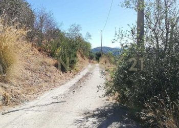 IMG-20250905-WA0005.jpg - Terreno agricolo Contrada Saravulli San Mercurio  snc, Piana degli Albanesi - foto 4