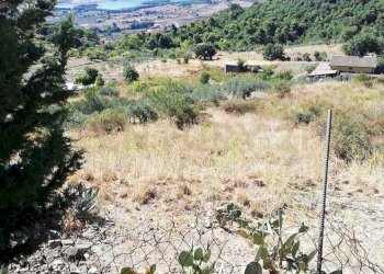 IMG-20250905-WA0006.jpg - Terreno agricolo Contrada Saravulli San Mercurio  snc, Piana degli Albanesi - foto 5