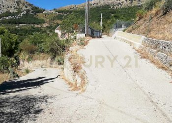 IMG-20250905-WA0008.jpg - Terreno agricolo Contrada Saravulli San Mercurio  snc, Piana degli Albanesi - foto 6