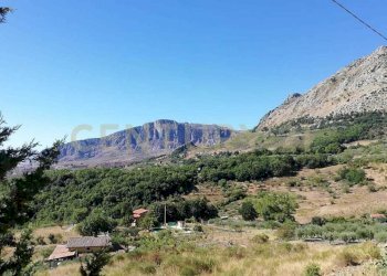 IMG-20250905-WA0010.jpg - Terreno agricolo Contrada Saravulli San Mercurio  snc, Piana degli Albanesi - foto 9