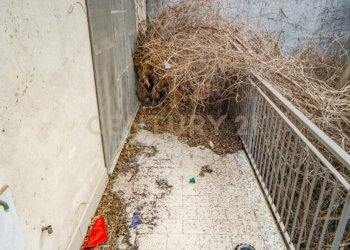 2022_03_20220307184052-648426-40.jpg - Locale Commerciale Via Provinciale 194, Santa Venerina - foto 19