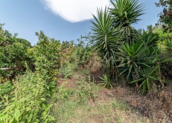 DSC02891.jpg - Rustico Strada 9 Praiola 6, Riposto - foto 12