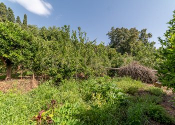 DSC02817.jpg - Villa Strada 9 Praiola 6, Riposto - foto 29