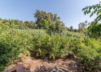 DSC02819.jpg - Villa Strada 9 Praiola 6, Riposto - foto 12