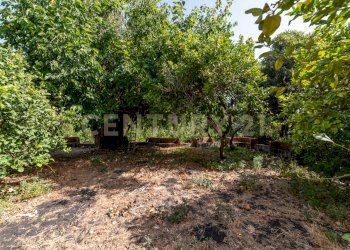 DSC02822.jpg - Villa Strada 9 Praiola 6, Riposto - foto 13