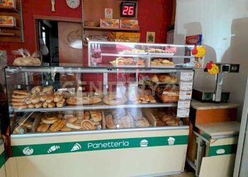 5.jpeg - Bakery - Pastificio Via Aldebaran 6/8/10, Catania - photo 4