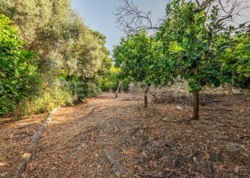 senza titolo-18.jpg - Terreno edificabile Via per Floridia 11, Siracusa - foto 21