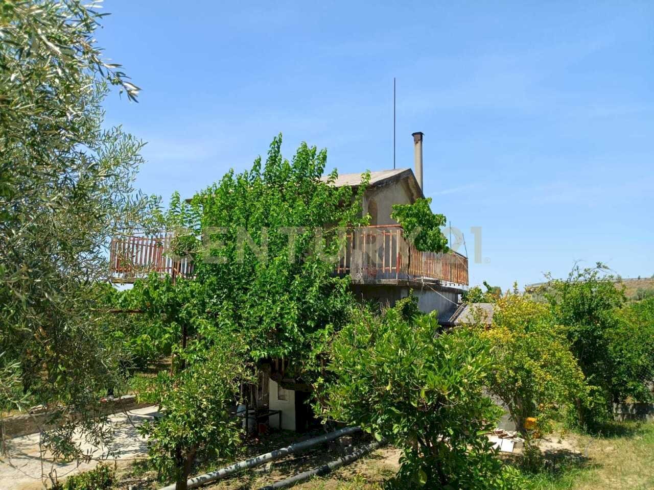 26.jpg - Terreno agricolo Contrada Agnelleria, Belpasso - foto 1