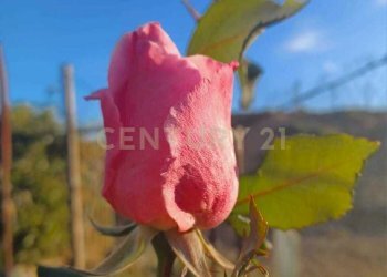 10.jpg - Terreno agricolo Contrada Agnelleria, Belpasso - foto 12