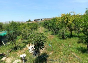 24.jpg - Terreno agricolo Contrada Agnelleria, Belpasso - foto 21