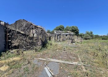 20250603_133105.jpg - Terreno agricolo Vico Agatino De Marco, Gravina di Catania - foto 2