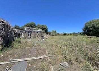 20250603_133107.jpg - Terreno agricolo Vico Agatino De Marco, Gravina di Catania - foto 3