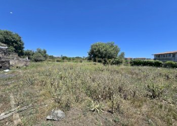 20250603_133112.jpg - Terreno agricolo Vico Agatino De Marco, Gravina di Catania - foto 4