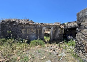 20250603_133147.jpg - Terreno agricolo Vico Agatino De Marco, Gravina di Catania - foto 5