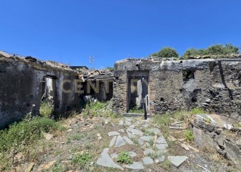 20250603_133159.jpg - Terreno agricolo Vico Agatino De Marco, Gravina di Catania - foto 6