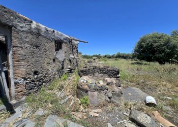 20250603_133205.jpg - Terreno agricolo Vico Agatino De Marco, Gravina di Catania - foto 7