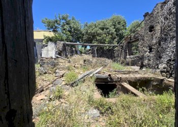 20250603_133231.jpg - Terreno agricolo Vico Agatino De Marco, Gravina di Catania - foto 8